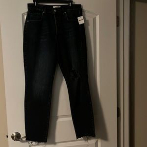 NWT Free People Distressed Blue Dark Wash Jeans